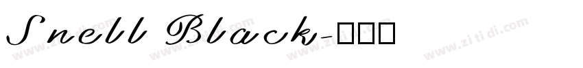 Snell Black字体转换